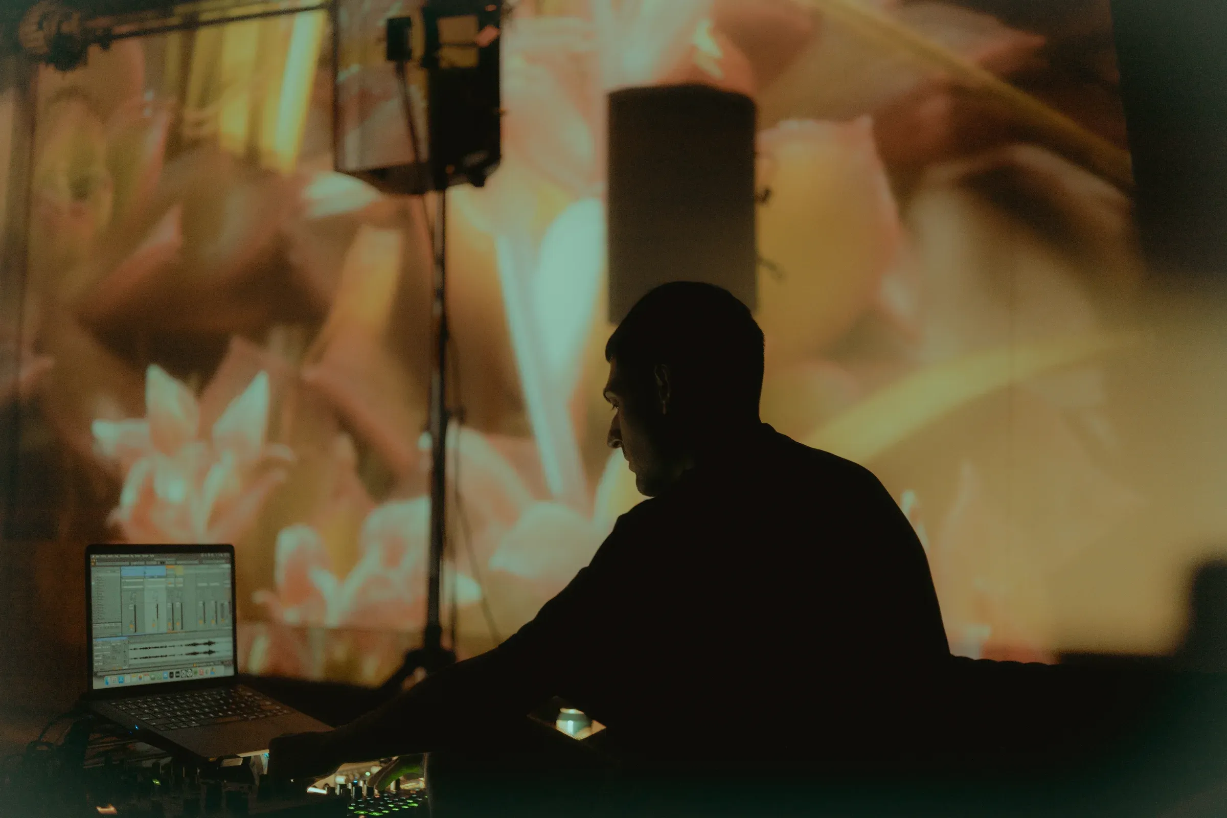 DJ en silueta frente a una proyección de flores